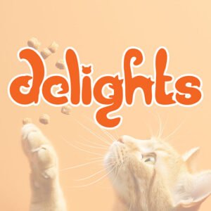 Delights Custom Typography Logo