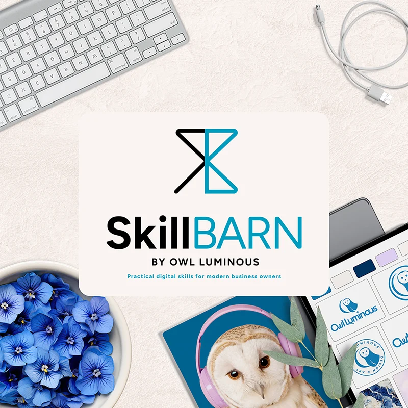The SkillBARN Brand and Business Tech Membership logo displayed with technology and branding on a textured cream surface, with a barn owl photo referencing Owl Luminous